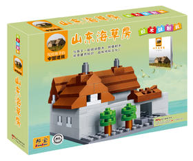 写给孩子的中国建筑山东海草房积木套装