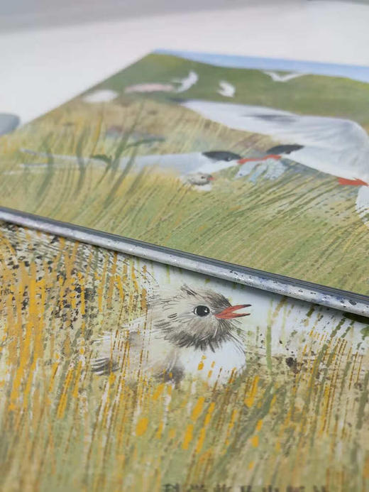 是该去南方过冬的时候了 商品图2