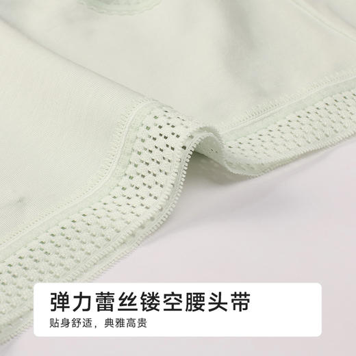 都市丽人纯棉系列50支棉舒肤棉平角裤LKH5J2 商品图4