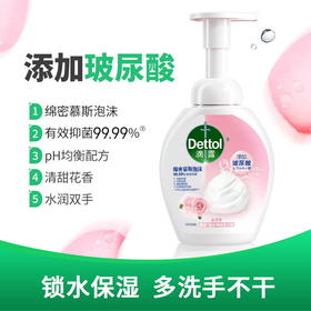 滴露泡沫抑菌洗手液花香型250ml*2