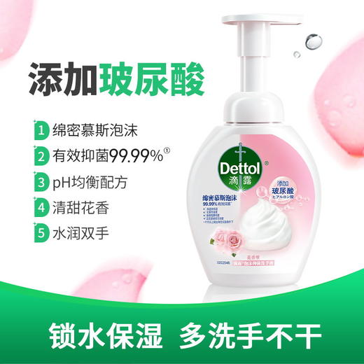 滴露泡沫抑菌洗手液花香型250ml*2 商品图0