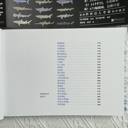 世界鲨鱼大全 商品图10