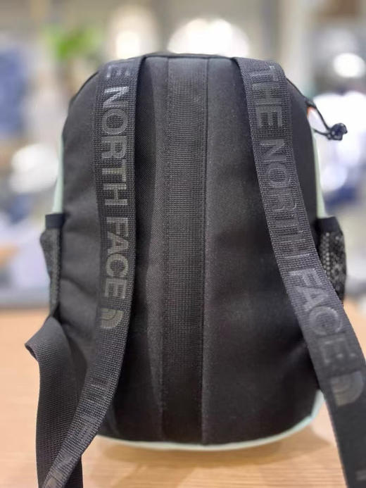 外贸原单北面春夏新款男女户外4.6/254✖️180✖️120mm升运动双肩小背包 面料是防泼水的 商品图5