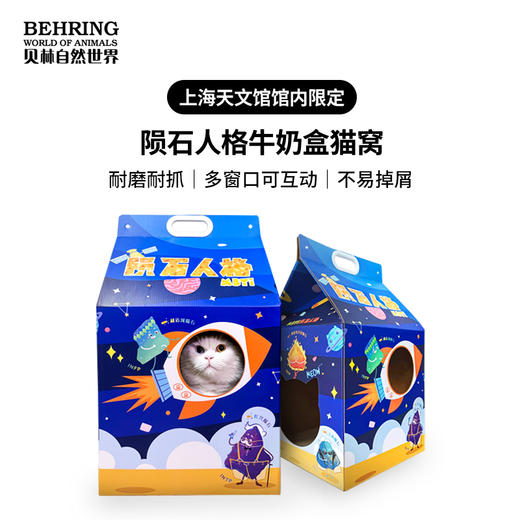 贝林自然世界X上海天文馆陨石人格MBTI文创猫窝 商品图0
