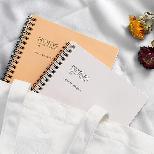 齐心(Comix) 纸面线圈笔记本子 A5/60张日记本/记事本/作业本/手账本学生文具 4本套装 ECC100 100005624267 商品图3