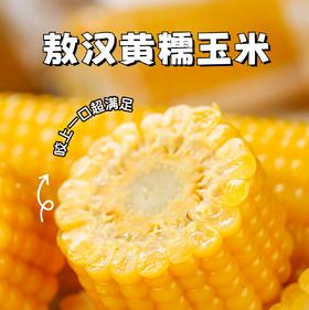 【斌哥优选】有机甜糯玉米。非转基因，sgs601项0农残。1小时真空急速锁鲜，3甜7糯，谁都爱吃。