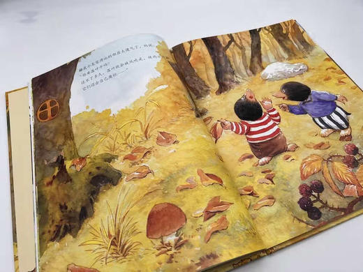 小巴掌童话绘本：我的山坡我的落叶 商品图1