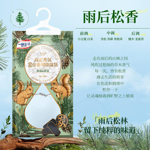 【告别湿哒哒！全家安心用】学生宿舍家用回南天防潮包吸湿袋吸湿室内衣柜可挂式防霉除湿袋。ry 商品图3