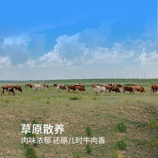 【内蒙有机牛肉饼】选用内蒙古新鲜有机牛前部位整块绞制，肥瘦比1：9，少油健康不腻 商品图2