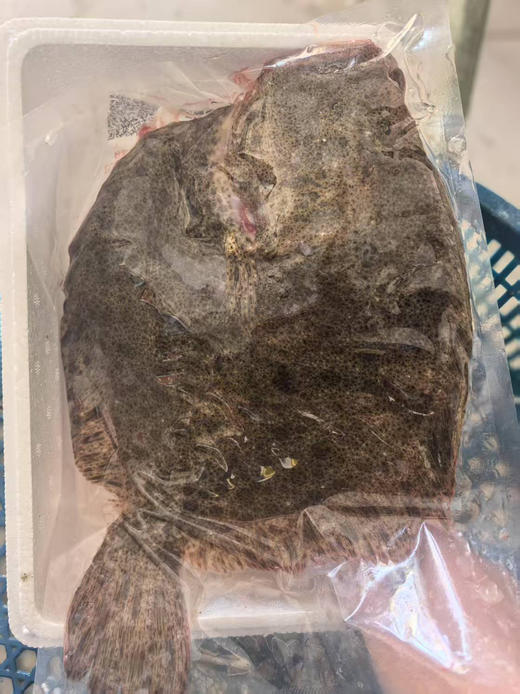 活杀桂鱼、多宝鱼、石斑鱼，现杀！ 商品图1