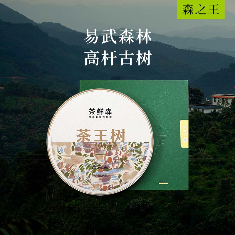 2024年茶王树古树  送品鉴装礼盒 普洱茶 生茶 200g/饼