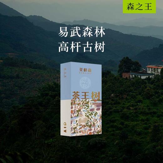 2024茶王树古树小饼礼盒   普洱茶 生茶 14g/盒 商品图0