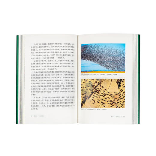 读库植物智能套装《它们没有脚，但足迹遍天下：不可思议的植物扩张史》 《失敬，植物先生：它们很古老，其实它们很先进》《它们没大脑，但它们有智能： 植物智能的认识史》（意）斯特凡诺·曼库索 著 商品图4