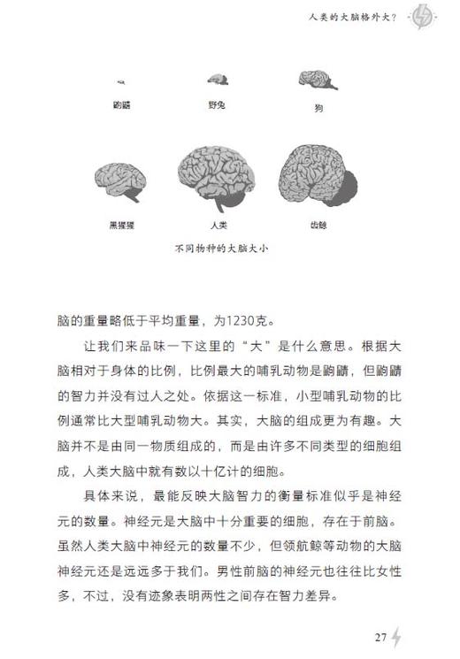 关于科学的49大误解： 闪电会不会两次击中同一个地方 商品图5