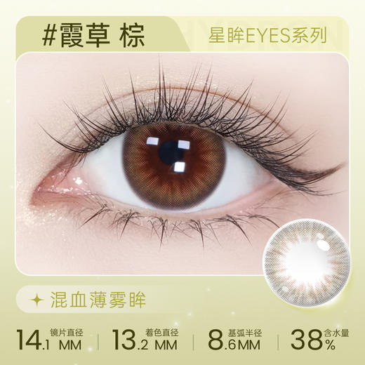 【彩瞳】海昌星眸EYES半年抛1片装|霞草棕 商品图0