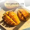 几分之几 原味芒果干 自然成熟 低温烘焙 100g/袋【ys】 商品缩略图1
