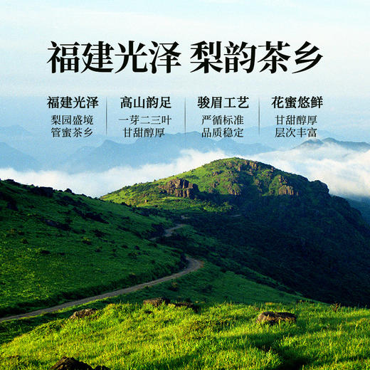 正山堂骏眉中国正心发展 管蜜红 骏眉红茶正宗特级茶叶罐装50g 商品图2