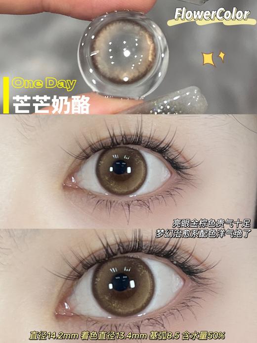 FlowerColor日抛--芒芒奶酪 商品图5