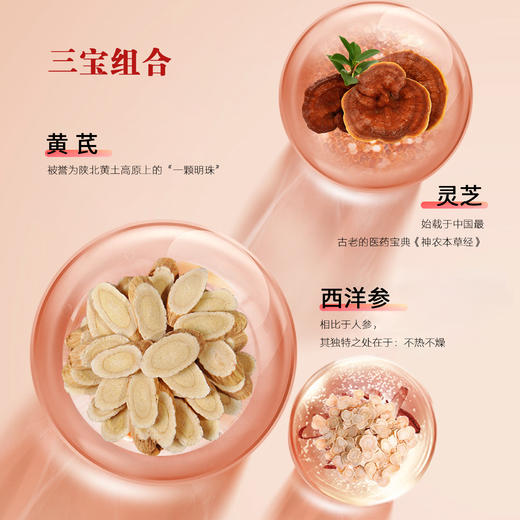 黄芪灵芝西洋参 商品图1
