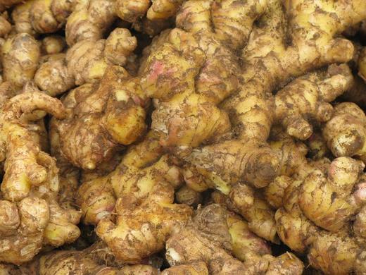 【生鲜预定】小黄姜 商品图0