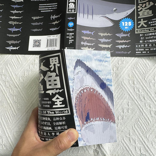世界鲨鱼大全 商品图13