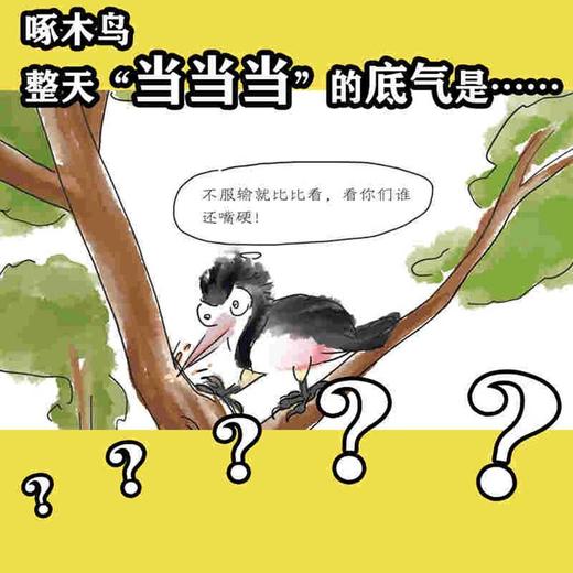 啄木鸟为什么不得脑震荡 商品图1
