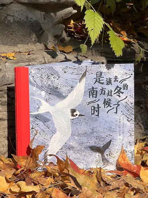 是该去南方过冬的时候了 商品图1