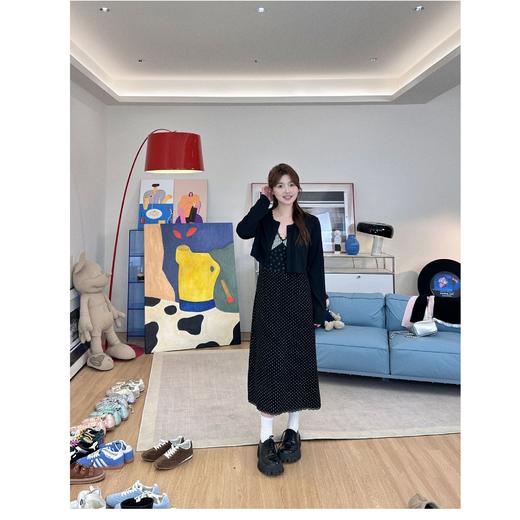 2025新品  蕾蕾同款【初恋露易丝】小众格子V领碎花波点连衣裙+短款长袖开衫 商品图1