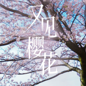 4天【又见樱花】2026贵州花季秘境徒步4天3晚·平坝万亩樱花+网红羊皮洞+三江古道