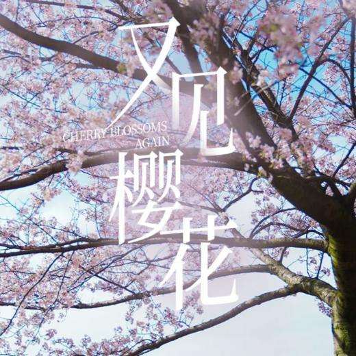 4天【又见樱花】2026贵州花季秘境徒步4天3晚·平坝万亩樱花+网红羊皮洞+三江古道 商品图0