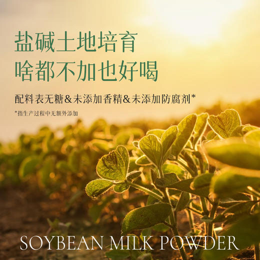 【欧米甄选—均衡小站】豆浆粉20g*15袋/盒-会员专享 商品图3