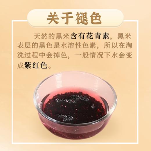 掌中禾五常黑米 2.5kg/袋 花青素丰富 健康粗粮 商品图9