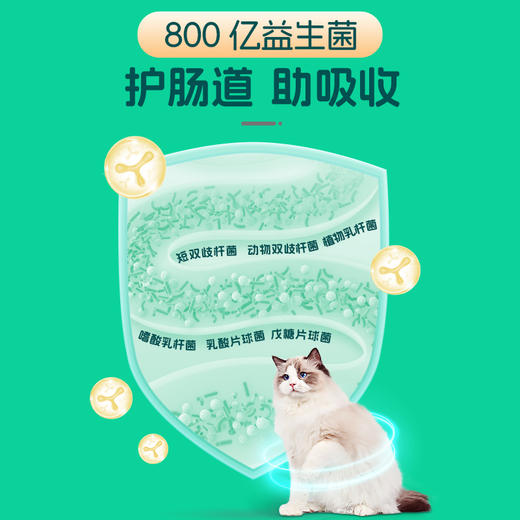 小宠深海鱼油胶囊猫咪狗狗专用宠物防掉毛健康营养猫用美毛犬用 330mg*60粒/瓶 商品图1