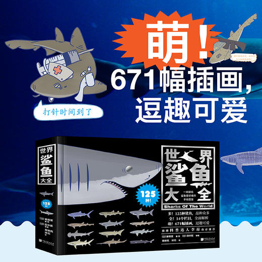 世界鲨鱼大全 商品图2