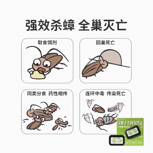 绿鼻子蟑螂饵剂盒灭蟑螂药膏诱饵剂一次性全窝绝杀家用胶饵一锅端-分销 商品图3