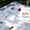 【超美❗️ins风户外野营地垫】出游常备，亲肤柔软，坐着舒服！野餐垫波西米亚露营毯子海边沙滩布防潮垫桌布拍照出游 商品缩略图1