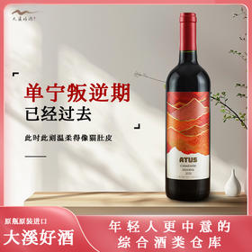 智利-阿图斯佳美娜