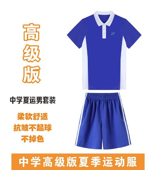 高级版 抑菌透气  抗皱不起球 中学夏装运动服   【深圳市中小学校服供应商】 51深圳校服 商品图4