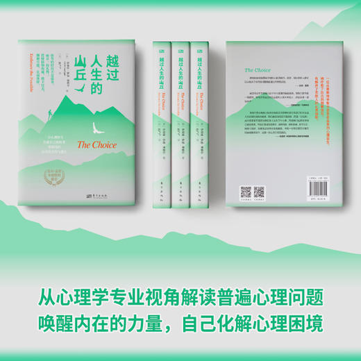 越过人生的山丘 商品图4