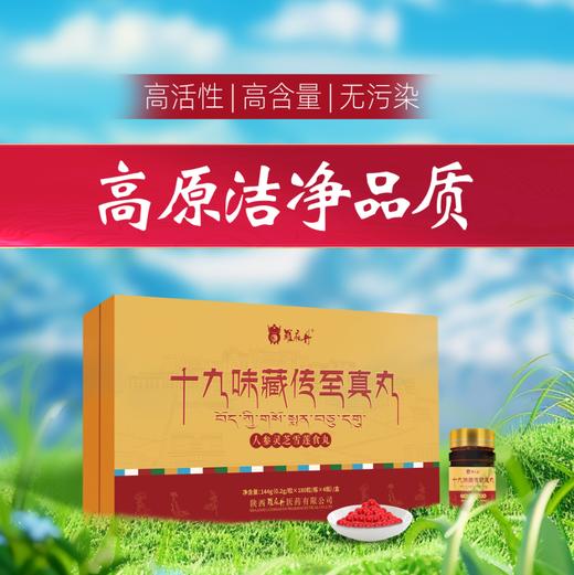 十九味藏传至真丸 商品图3