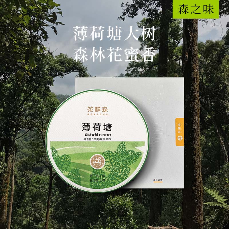 2024 薄荷塘森林大树 森之味 春茶现货 整提9折 拍5发6  普洱茶 生茶 200g饼