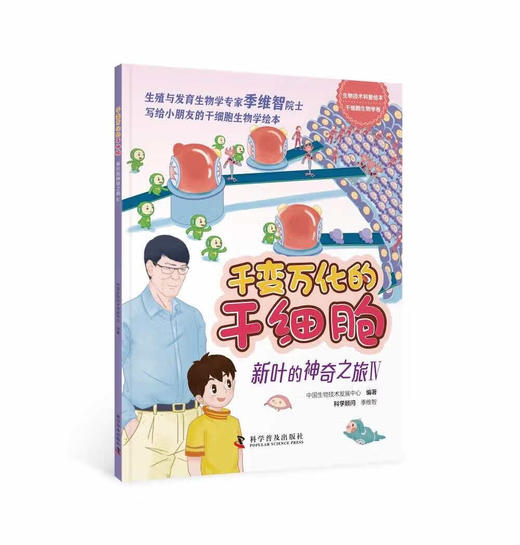 千变万化的干细胞——新叶的神奇之旅 商品图4