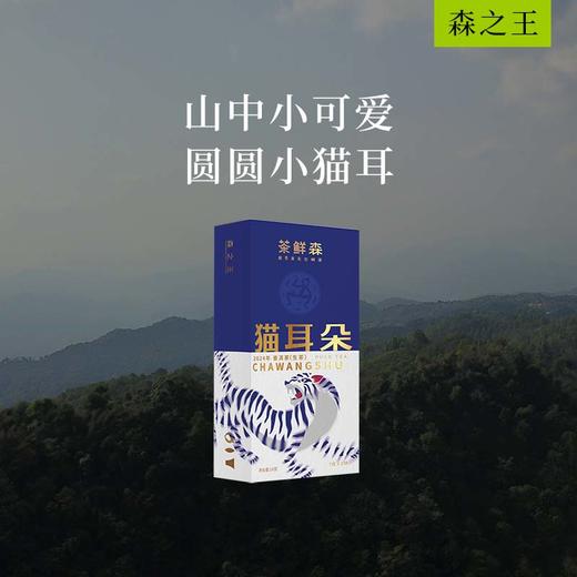 2024年 猫耳朵古树小饼礼盒 普洱茶 生茶 14g/盒 商品图0