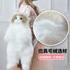 科迈特预售仿真布偶猫背包猫包公仔玩偶娃娃抖音同款生日礼物 商品缩略图1