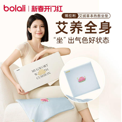 博拉利艾灸坐垫电加热艾草热敷毯艾绒办公室坐灸垫BL-DRZ01 商品图0