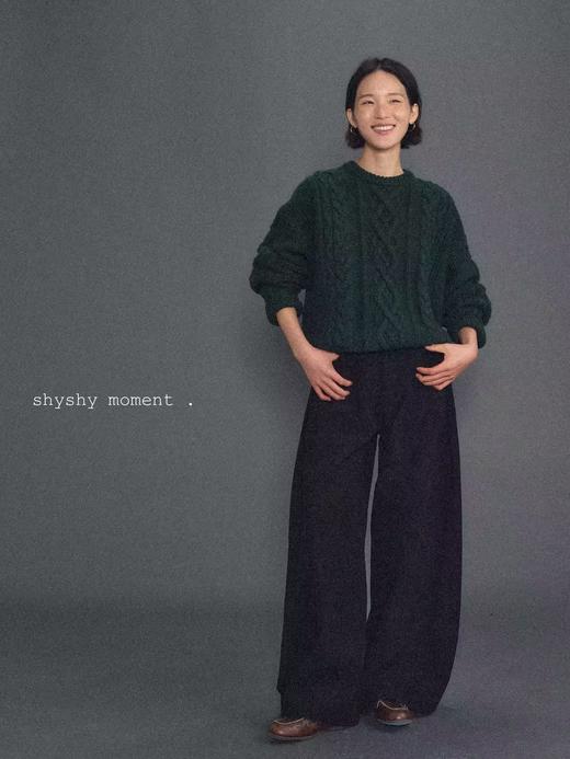 shyshystill/shy202411015/三色重磅美丽奴羊毛粗棒麻花圆领毛衣 商品图0