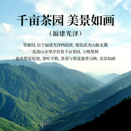 正山堂骏眉中国正心发展 管蜜红 骏眉红茶正宗特级茶叶罐装50g 商品图3