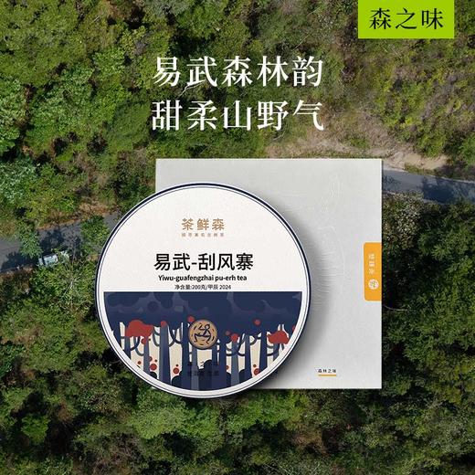 2024年 易武-刮风寨  普洱茶 生茶 200g/饼 森之味，拍5发6 商品图0