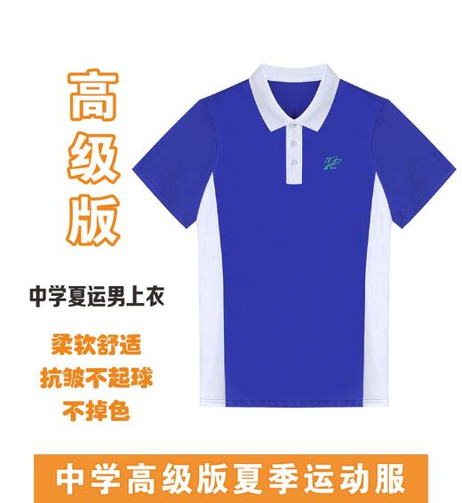 高级版 抑菌透气  抗皱不起球 中学夏装运动服   【深圳市中小学校服供应商】 51深圳校服 商品图1