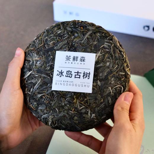 2024年 冰岛古树  普洱茶 生茶 200g饼 森之味 ，拍5发6 商品图1